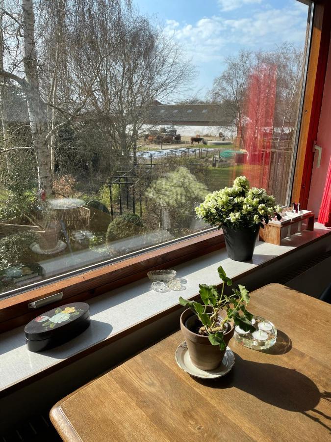 Ferienwohnung Retro Bolig - Fyldt Med Hygge! Ingen Luksus Kolind Exterior foto